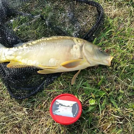 Welcome To Kashubia In The Heart Of Kashubia * Kościerzyna