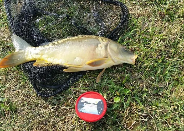 Welcome To Kashubia In The Heart Of Kashubia * Косцежина